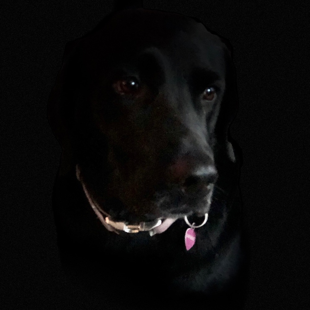 Meet your Posher, Maggs